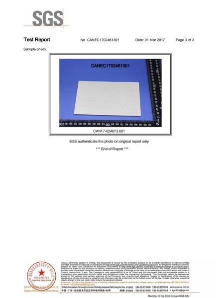 test report