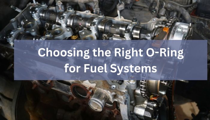 O-Ring for Fuel Systems