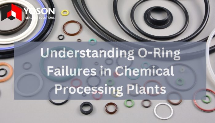 Understanding O-Ring Failures in Chemical Processing Plants
