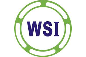 WSI logo